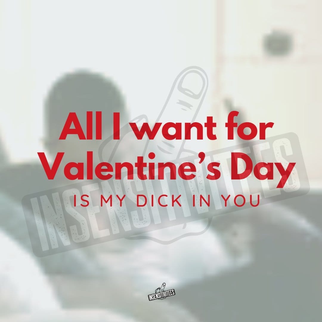 InsensitiviTees™️ All I Want For Valentine's Day Is My Dick In You