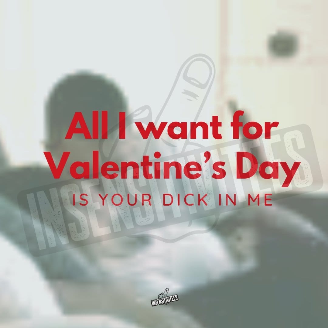 InsensitiviTees™️ All I Want For Valentine's Day Is Your Dick In Me